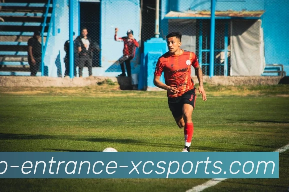 杏彩体育平台生态图