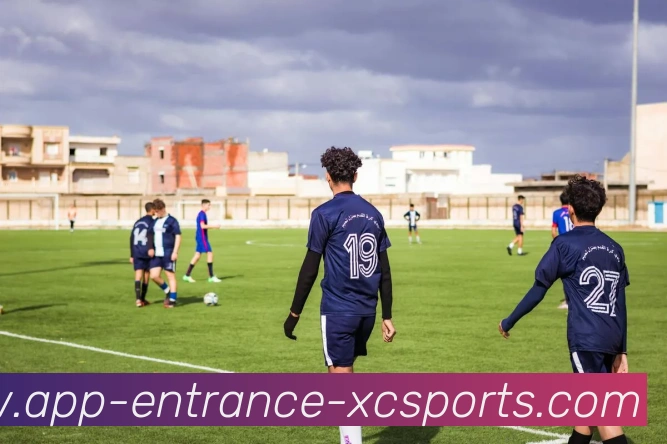 杏彩体育APP 封面图